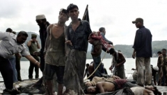 وزارت خارجه نسل‌کشی مسلمانان میانمار را پیگیری کند