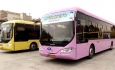 تخصیص ۵۰ دستگاه اتوبوس شهری ارومیه برای خدمات دهی به زائرین اربعین حسینی