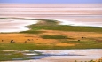 گسترش بیماری های صعب العلاج یکی از اثرات خشکی دریاچه ارومیه خواهد بود