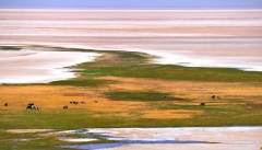 گسترش بیماری های صعب العلاج یکی از اثرات خشکی دریاچه ارومیه خواهد بود
