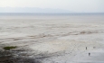 بدون خواست جدی حاکمیت و مردم دریاچه ارومیه احیاء نخواهد شد
