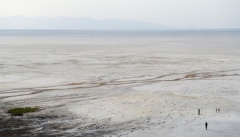 بدون خواست جدی حاکمیت و مردم دریاچه ارومیه احیاء نخواهد شد