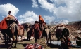 اولین همایش توسعه گردشگری روستایی و عشایری در ارومیه برگزار می شود