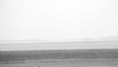 دریاچه ارومیه به حال خود رها شده است