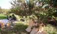 دولت برای کاهش خسارات و مشکلات کشاورزان آذربایجان اقدام کند