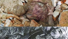 جنجال در فضای مجازی برای یک جسد مومیایی