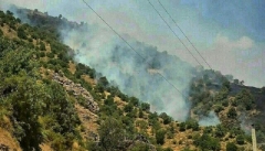 آتش سوزی در منابع طبیعی آذربایجان غربی را به ۱۵۰۴ اطلاع دهید