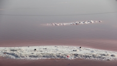 دریاچه ارومیه قصد تسلیم شدن ندارد