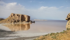 دریاچه ارومیه دیگر آرتمیای زنده ندارد