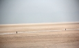 برداشت نمک‌ از دریاچه ارومیه اثرات ریزگردهای نمکی را کاهش می‌دهد