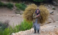 ۳۵۰۰ زن روستایی آذربایجان غربی عضو صندوق اعتباری زنان هستند