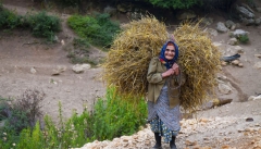 ۳۵۰۰ زن روستایی آذربایجان غربی عضو صندوق اعتباری زنان هستند