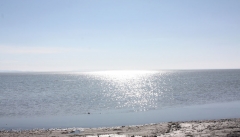 تصویب ۵۰۰ میلیارد تومان برای پروژه‌های احیای  دریاچه ارومیه کافی نیست