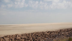 برای حل مشکل دریاچه ارومیه باید سمن‌ها  پای کار بیایند