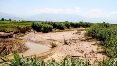 خسارت وارده به کشاورزی آذربایجان غربی ۳۵ درصد رشد داشته است