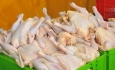 پیش بینی تولید بیش از ۵۰۰ تن گوشت مرغ مازاد بر نیاز در آذربایجان غربی