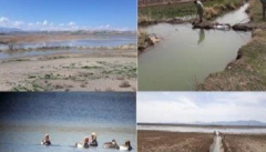 آلودگی سموم کشاورزی تالابهای آذربایجان غربی را تهدید می کند