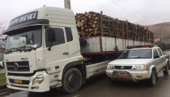 قاچاق چوب در آذربایجان غربی ۱۵ برابر  افزایش یافته است