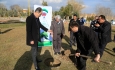 همایش کاشت ۴۰ اصله نهال توسط مخابرات منطقه آذربایجان غربی