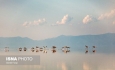 حجم آب دریاچه ارومیه ۶۷۰ میلیون مترمکعب افزایش یافت