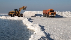 مبلغی از فروش نمک‌های دریاچه ارومیه به خزانه دولت واریز نشده است
