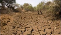 بارشهای اخیر نتوانسته مشکل خشکسالی در آذربایجان غربی را برطرف کند