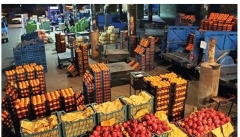 توزیع میوه تنظیم بازار تا ۲۰فرودین در آذربایجان غربی ادامه دارد