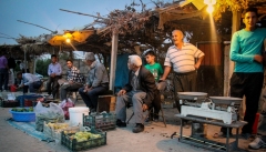 مراکز خرید میوه‌ در حاشیه جاده‌های آذربایجان غربی  باید ساماندهی شود