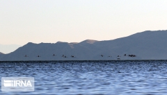 افزایش ۲.۵ میلیارد مترمکعبی آب دریاچه ارومیه در بهار امسال
