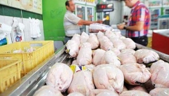 کمبود مرغ در ارومیه با افزایش تقاضا در تبریز