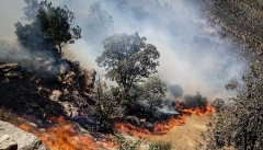 جنگل‌های ارسباران همچنان در آتش می سوزد
