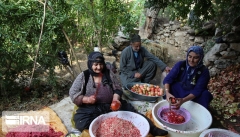۹۸ صندوق محله برای زنان روستایی در آذربایجان‌غربی فعال است