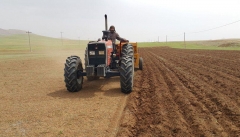 ۳۷۰ هزار هکتار در آذربایجان‌غربی زیر کشت گندم پاییزه رفت