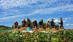 دولت نباید مسیر افزایش واردات محصولات کشاورزی را هموار ‌کند