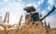 ۳۷۰ هزار تن گندم از زارعان آذربایجان غربی خریداری شد