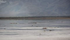 سازمان فائو برای احیای دریاچه ارومیه برنامه های مدونی را اجرا می کند