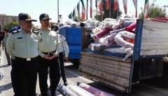 ۵۰۰۰ فقره پرونده قاچاق کالا و ارز در آذربایجان غربی تشکیل شد