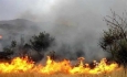دولت کمترین امکانات لازم را برای مهار آتش سوزی زاگرس فراهم نکرده است