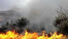 دولت کمترین امکانات لازم را برای مهار آتش سوزی زاگرس فراهم نکرده است