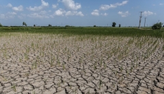 بحران آب خوی نتیجه کم کاری مسئولان استانی و کشوری است