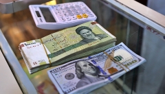 تورم ایران ناشی از رشد نرخ ارز است نه نقدینگی