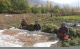 فعالیت ۱۲۰ صندوق محله برای زنان روستایی در آذربایجان‌غربی