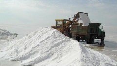 سالانه ۷۰۰ هزار تن نمک از بستر دریاچه ارومیه برداشت می‌شود