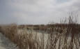 ۱۶۲ کیلومتر بادشکن در حاشیه دریاچه ارومیه احداث شد
