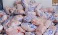 ۴۰۰ تن مرغ منجمد طرح تنظیم بازار در آذربایجان‌ غربی توزیع شد