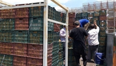 صادرات سیب آذربایجان‌غربی با مشکل مواجه شده است