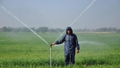 اراضی کشاورزی استان به سیستم‌های نوین آبیاری تحت فشار مجهزمی‌شود