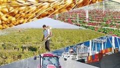 کشاورزی آذربایجان‌غربی نامتوازن و غیرعلمی است‌