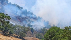 افزایش آتش سوزی در جنگل های آذربایجان غربی