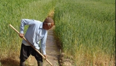 مدیریت آب؛ ضرورت حفظ ۸۰۰ هزار هکتار زمین کشاورزی  آذربایجان‌غربی